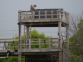 DMS_0021a (23)