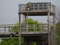 DMS_0021a (24)