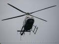 DMS_0021a (27)