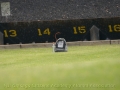 DMS_0021a (3)