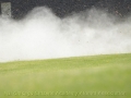 DMS_0021a (4)