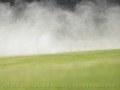 DMS_0021a (5)